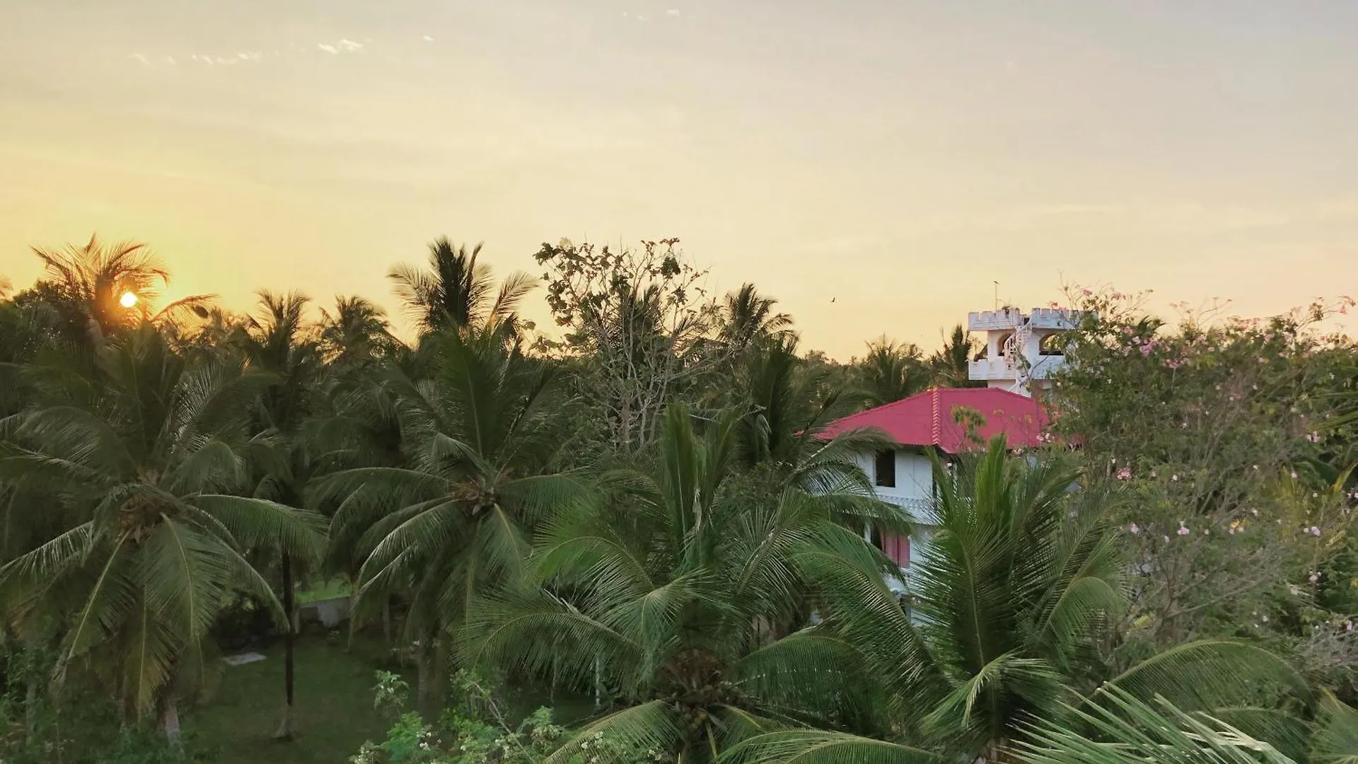 Hotel Lagoon Paradise Negombo